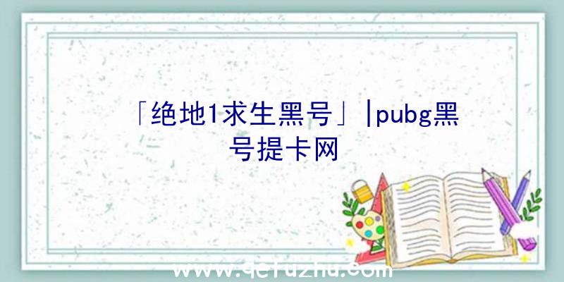 「绝地1求生黑号」|pubg黑号提卡网